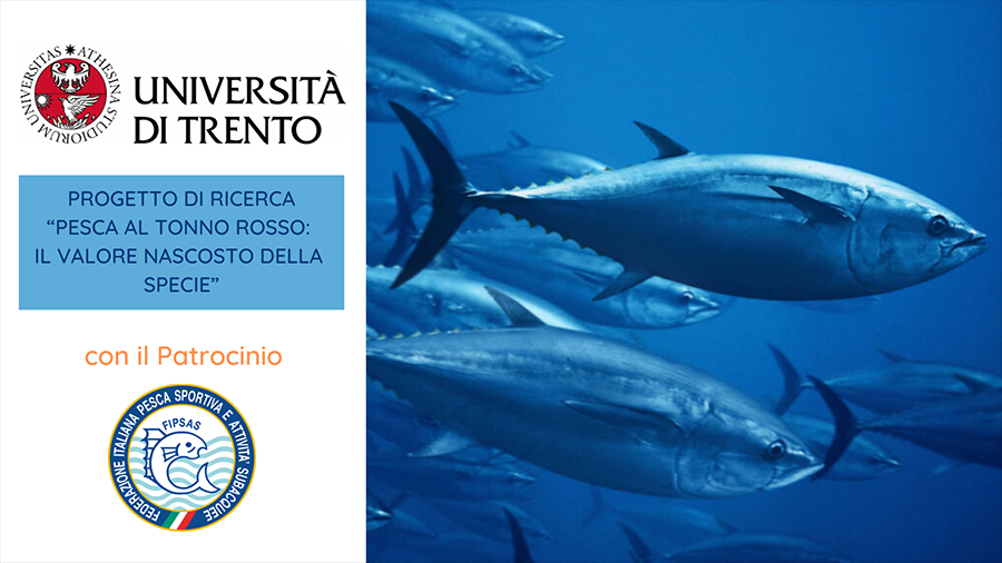 images/images/federazione/medium/progetto-di-ricerca---pesca-al-tonno-rosso.png