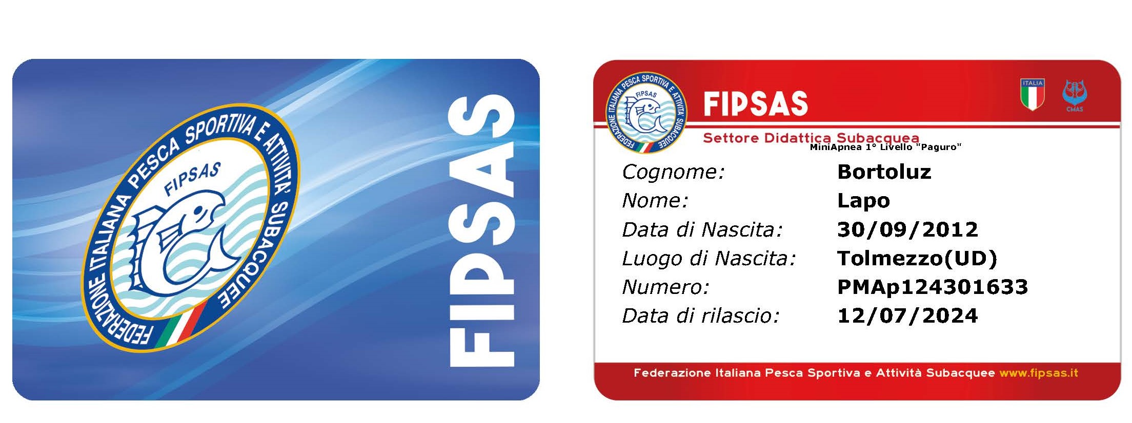 Brevetto PMAp1