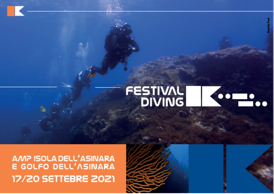 images/documenti/didattica_subacquea/medium/IMMAGINE_FESTIVAL-DIVING_2021.PNG