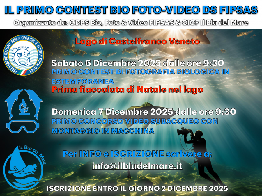 images/images/Didattica_Subacquea/COSTEST_FOTO_VIDEO_NATALE_2025/medium/Locandina_Contest_2025.png