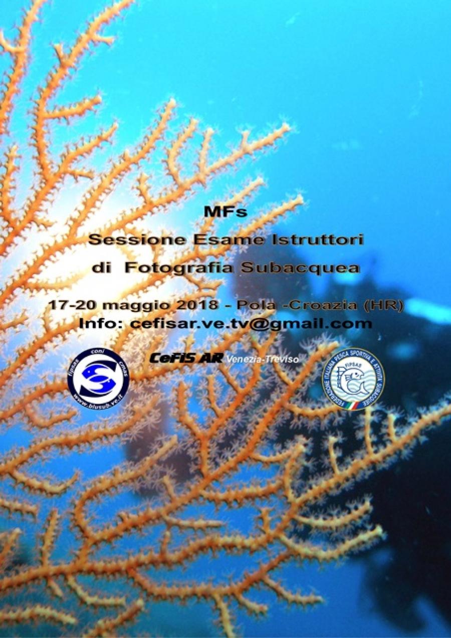 images/images/Didattica_Subacquea/medium/esame_FOTOSUB.pub_4-1-001.jpg