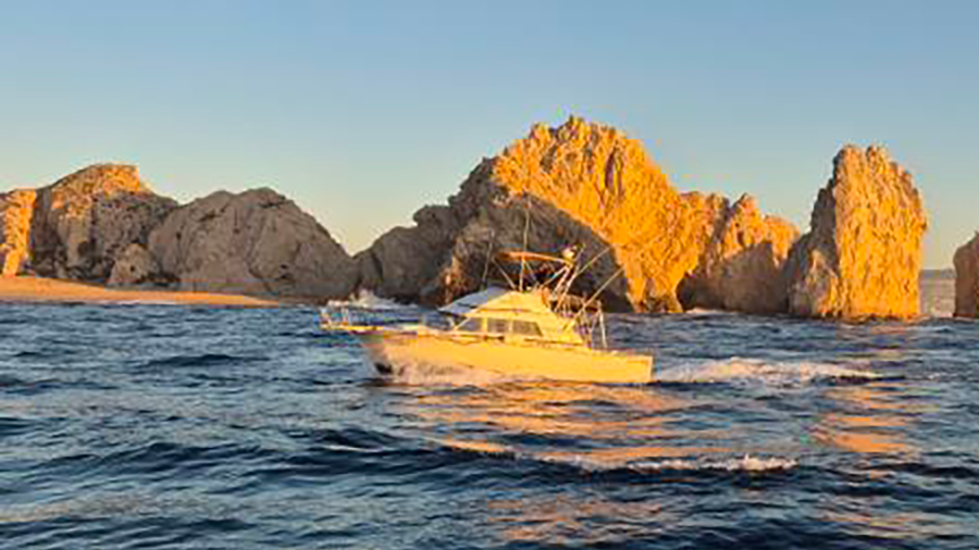 images/images/Pesca_Di_Superficie/big_game/2024/medium/bg_mexico_2024.png