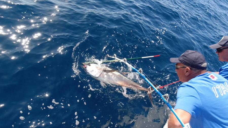 images/images/Pesca_Di_Superficie/big_game/medium/biggame_wc2022.jpg