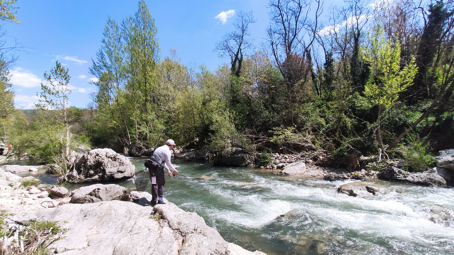 images/images/Pesca_Di_Superficie/spinning_dariva/medium/campobasso.png