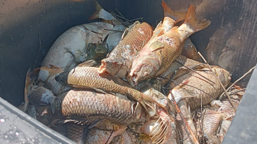 images/images/Territorio/abruzzo/medium/disastro_ambientale_abruzzo_2025.png