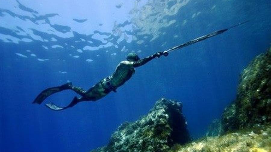 images/images/attivitasubacquee_nuotopinnato/Pesca_in_apnea/medium/26165208_1409337249193879_2453800895192087356_n.jpg