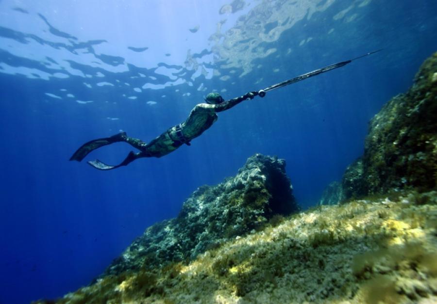 images/images/attivitasubacquee_nuotopinnato/Pesca_in_apnea/medium/Foto_Pesca_in_Apnea.JPG