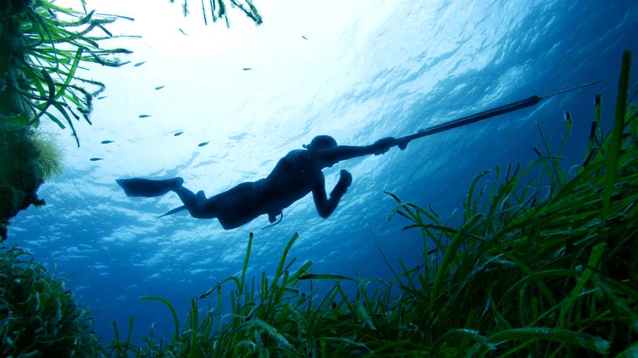 images/images/attivitasubacquee_nuotopinnato/Pesca_in_apnea/medium/slide_pp_convegno_pesca_in_apnea.jpg