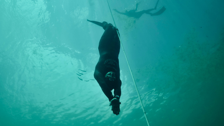 images/images/attivitasubacquee_nuotopinnato/apnea/medium/Foto_Ferri_ridimensionata.png