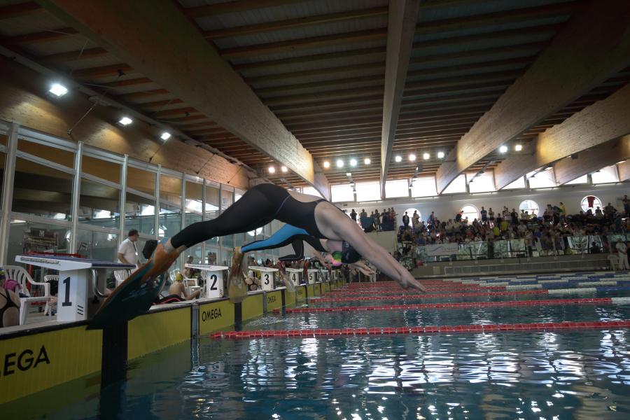 images/images/attivitasubacquee_nuotopinnato/nuoto_pinnato/medium/Foto_-_Comunicato_Europeo_Master_NP.JPG