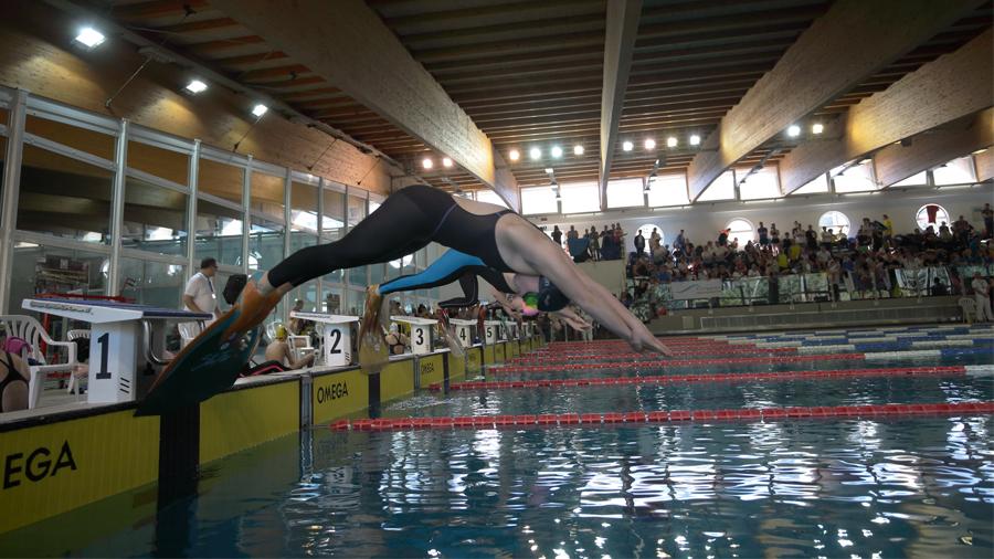 images/images/attivitasubacquee_nuotopinnato/nuoto_pinnato/medium/Foto_Nuoto_Pinnato_pp.jpg