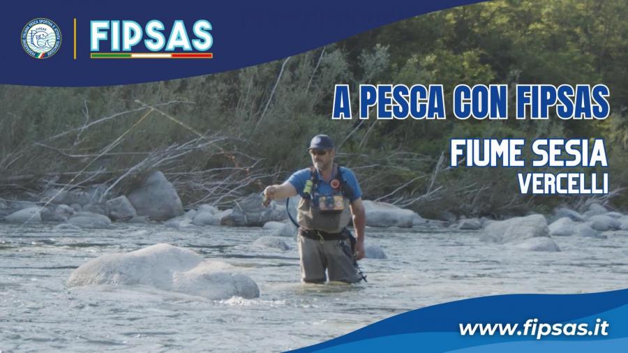 images/images/federazione/apescaconfipsas/medium/Template_youtube_fipsas_fiumesesia.jpg