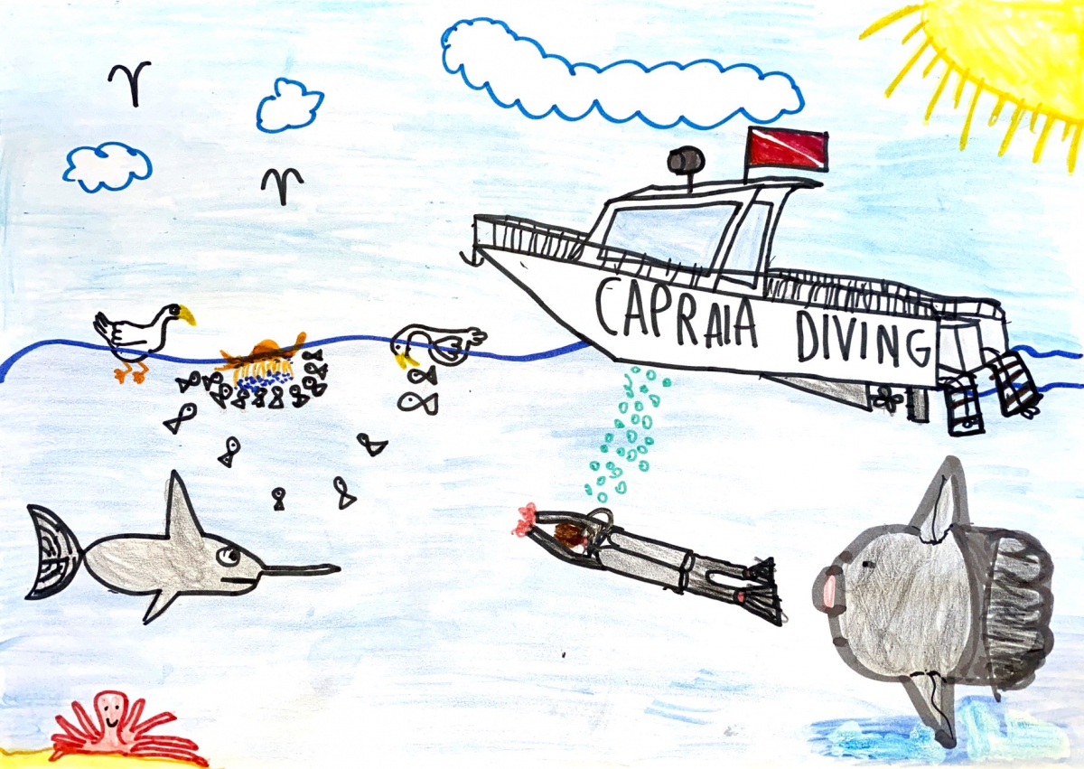 Disegna il tuo sport colora lattesa Immersione nel mare di Capraia Cesarato Matteo