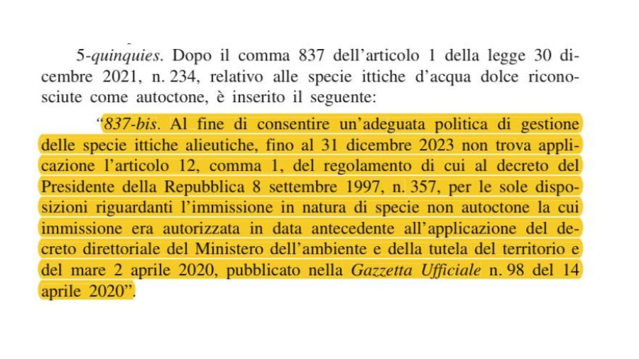 images/images/federazione/medium/IMM.png