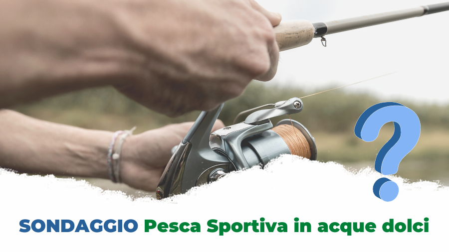images/images/federazione/medium/SONDAGGIO_Pesca_Sportiva_in_acque_dolci.png