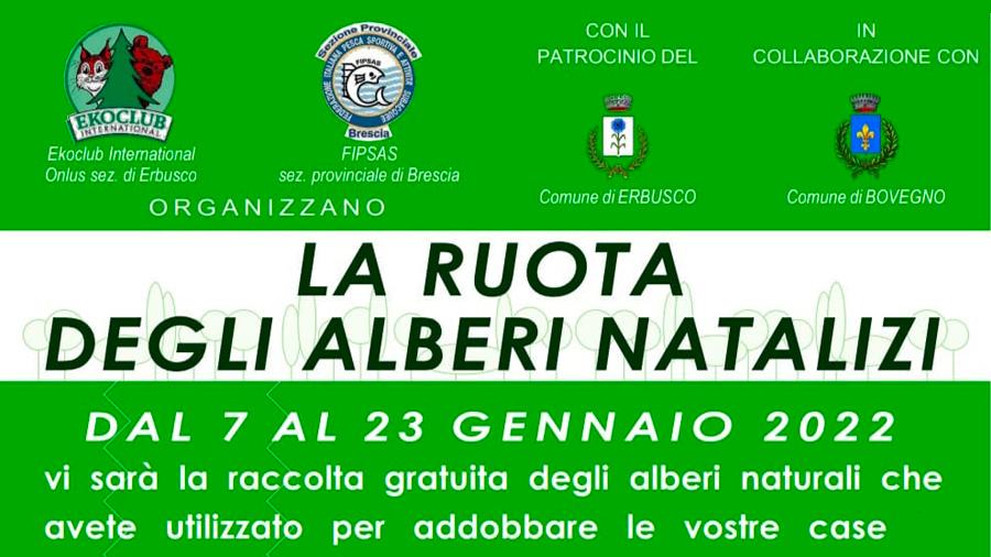 images/images/federazione/medium/alberi_natalizi_brescia.jpg