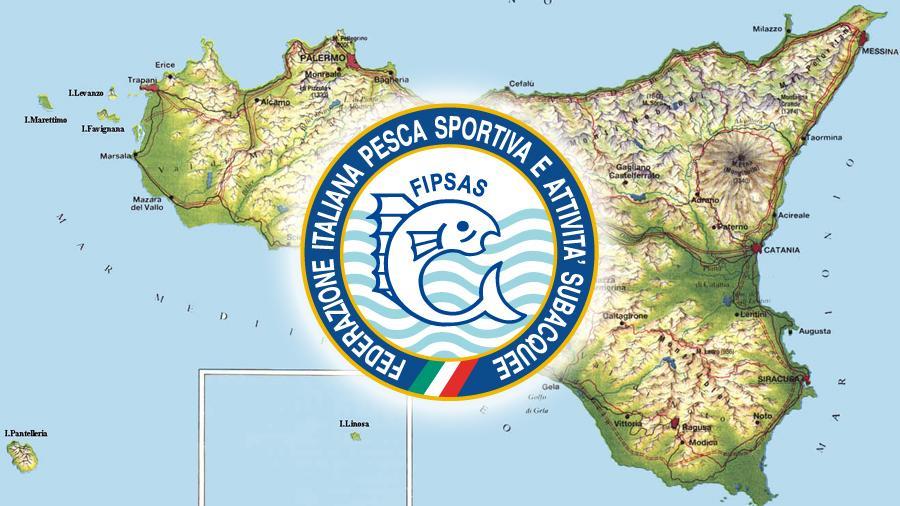 images/images/federazione/medium/comitato_regionale_fipsas_sicilia.jpg