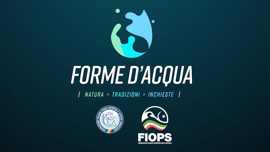 images/images/federazione/medium/forme_dacqua_slide.jpg