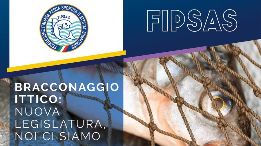 images/images/federazione/medium/slidde_convegnofipsas_carpitaly23.jpg