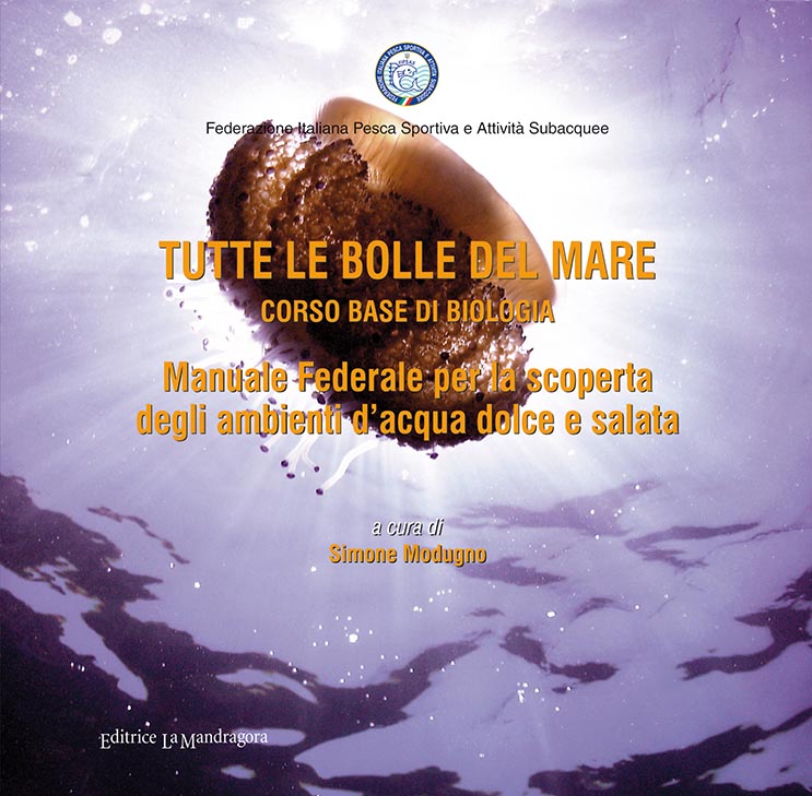 copertina tutte le bolle base