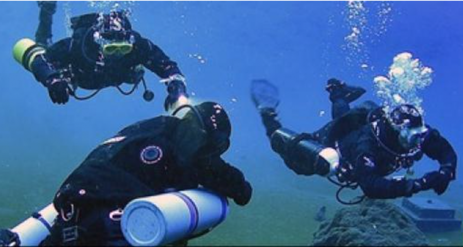 images/img/didattica_subacquea/medium/Schermata_2024-01-12_alle_11.55.28.png